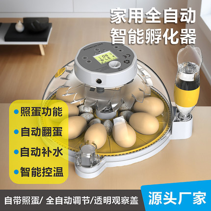 新款高端家用小型孵化器小飞蝶孵蛋器鸡蛋孵化箱鸽子芦丁鸡孵化机