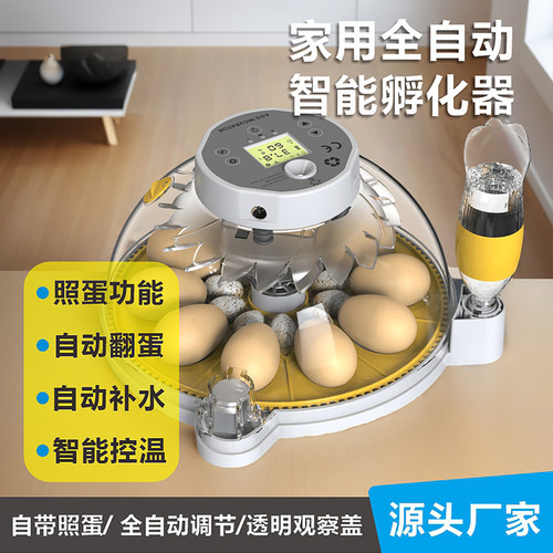 新款高端家用小型孵化器小飞蝶孵蛋器鸡蛋孵化箱鸽子芦丁鸡孵化机