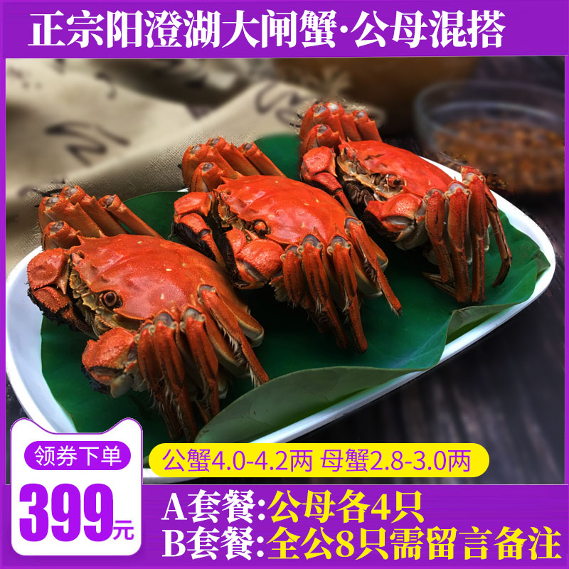 陽澄湖大閘蟹豪華禮盒螃蟹公4.0-4.2兩母蟹2.8-3.0兩8只澄湖之星在類目 水產肉類/新鮮蔬果/熟食, 海鮮/水產品/製品, 蟹類, 大閘蟹中 - 來自Buy2taobao.com提供專業的淘寶代購服務