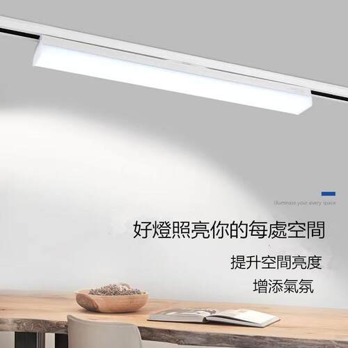 110V220V台湾用长条灯