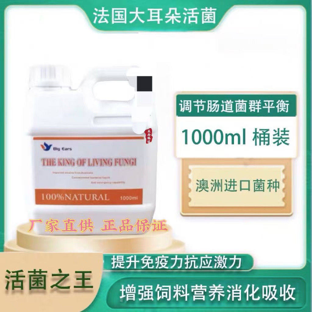 法国大耳朵【活菌之王】赛鸽药保健调理肠道增食欲助消化活菌王