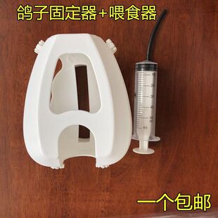 信鸽鸽具固定器鸽子固定架打针喂药辅液器赛鸽打疫苗看鸽眼固定器