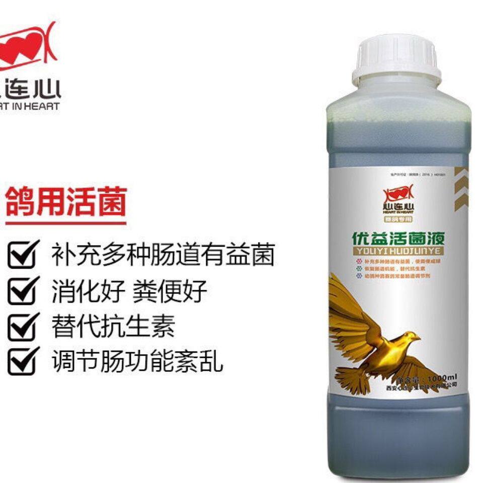 心连心鸽药活菌促进消化活菌鸽用优益活菌液1000ml保健品肠道图片
