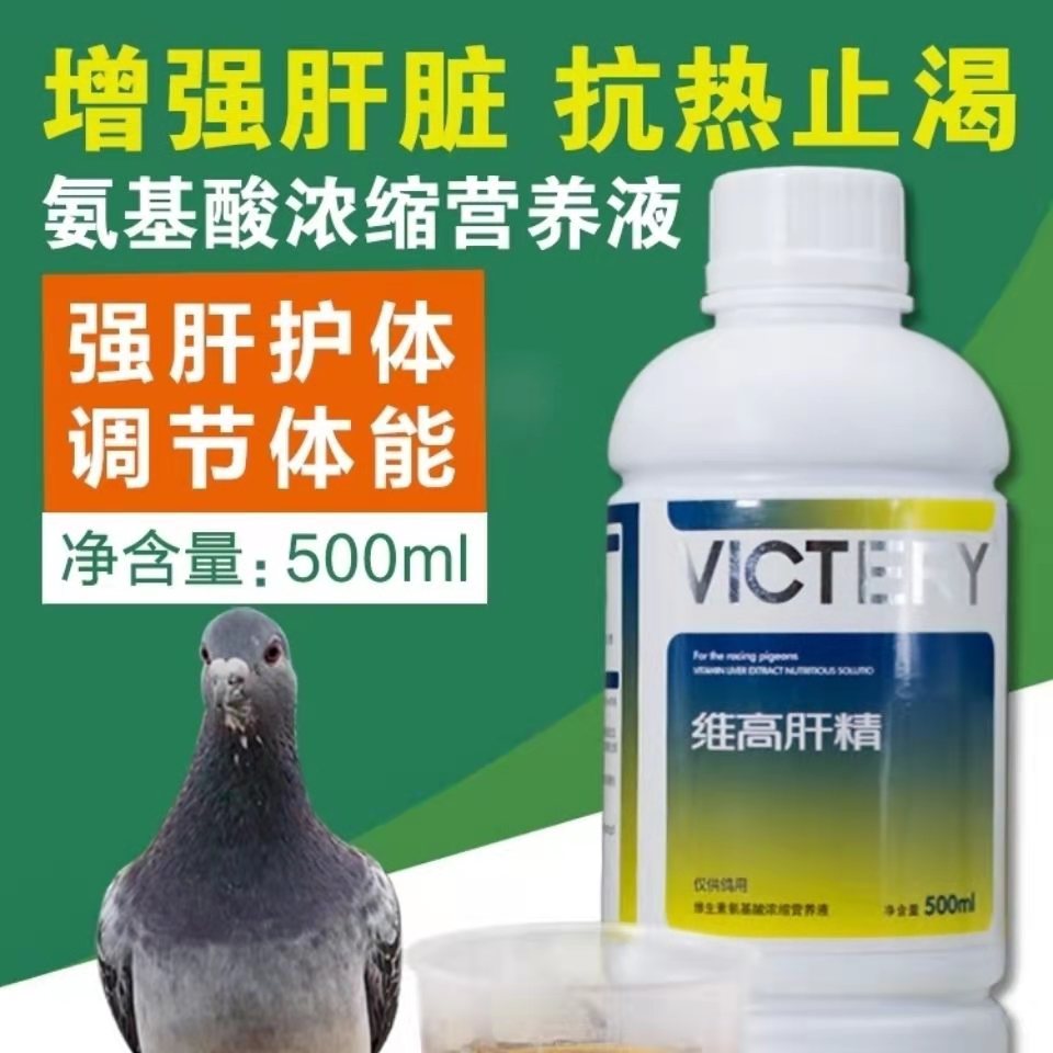 汉诺威鸽药维高肝精保肝护肾分解残种病鸽调理鸽子大全赛鸽营养品