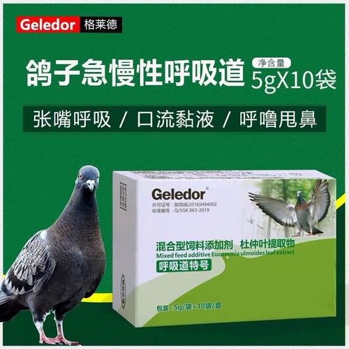 格莱德鸽药呼吸道特号赛鸽信鸽用品水便绿便呼噜声白点鸽子药
