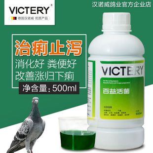 汉诺威鸽药百益活菌调理肠道预防水便绿便嗉囊炎百亿活菌王保健品