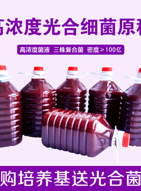 光合细菌菌种牧海人高活性原液