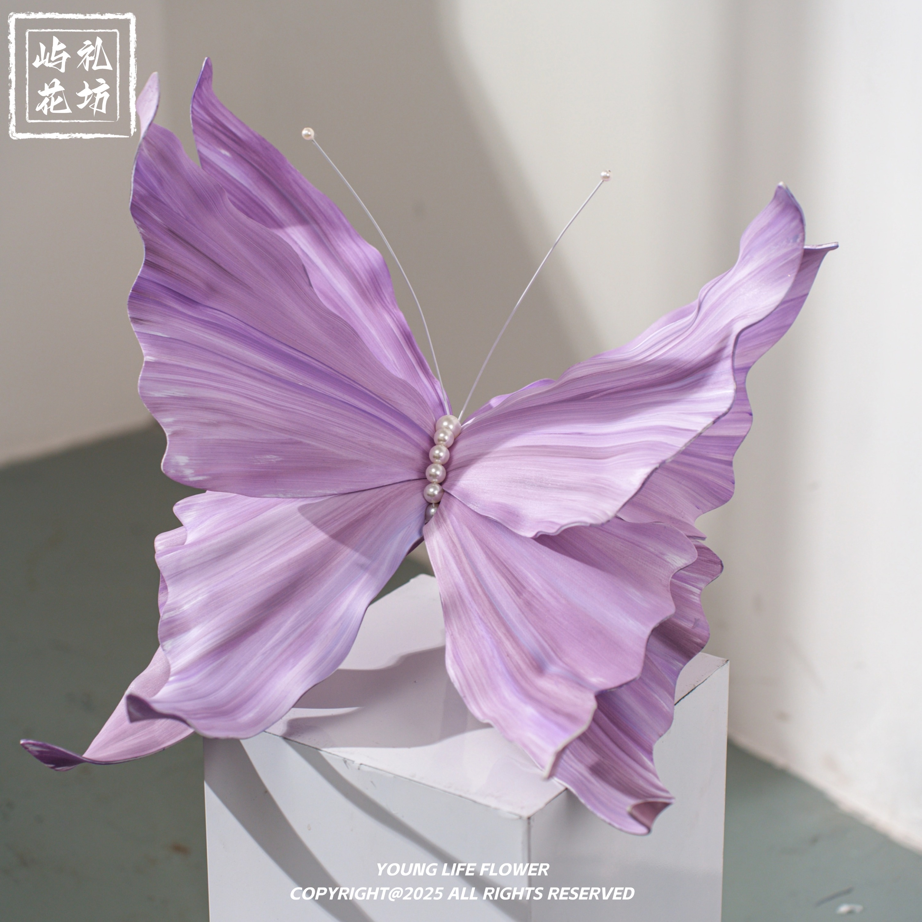 EVA蝴蝶大型手绘泡沫蝴蝶