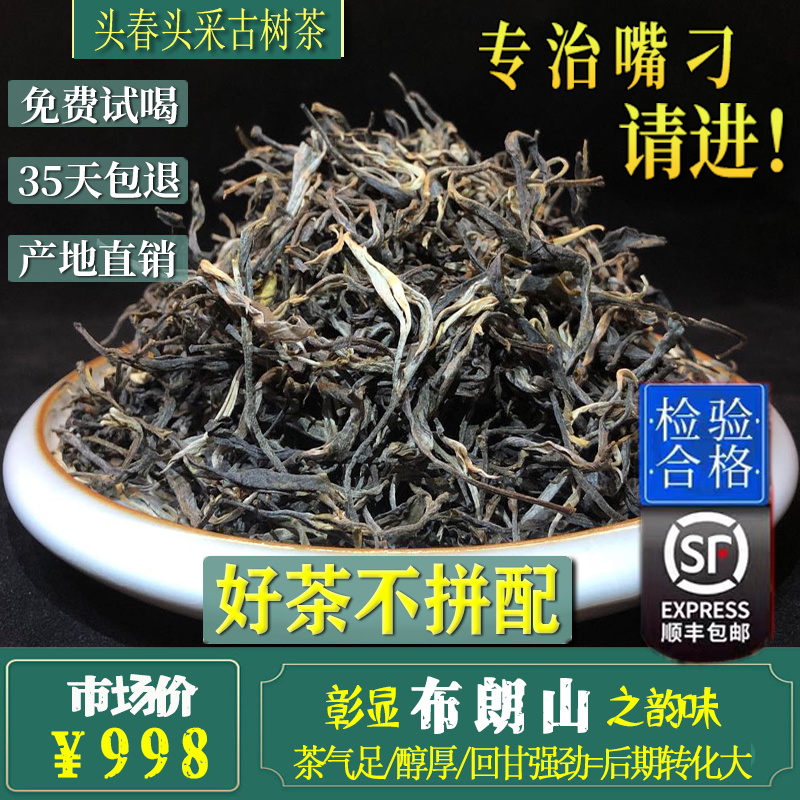 云南普洱茶生茶散茶散装2023年头春300古树1斤勐海布朗山普洱生茶