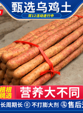 5斤正宗温县铁棍怀山药铁杆新鲜淮山药红皮乌鸡土河南焦作铁锟准
