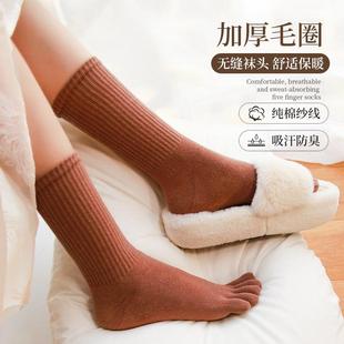 冬季保暖纯棉高橡筋加厚五指袜女中长筒加绒分趾高毛圈毛巾袜无缝