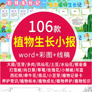 小学生植物生长手抄报word模板小报土豆大蒜豆芽观察日记电子版