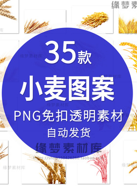 麦穗小麦大米稻谷金色绿色边框米手绘卡通PS图片png元素素材