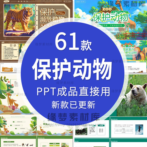 保护珍稀野生动物班会课件PPT模板世界动物保护日宣传关爱生命