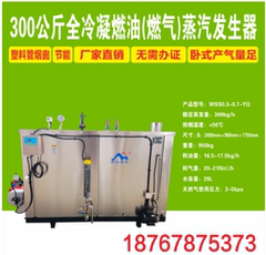 冷凝式300燃油燃气蒸汽发生器商用蒸汽锅炉酿酒洗涤设备熨烫锅炉