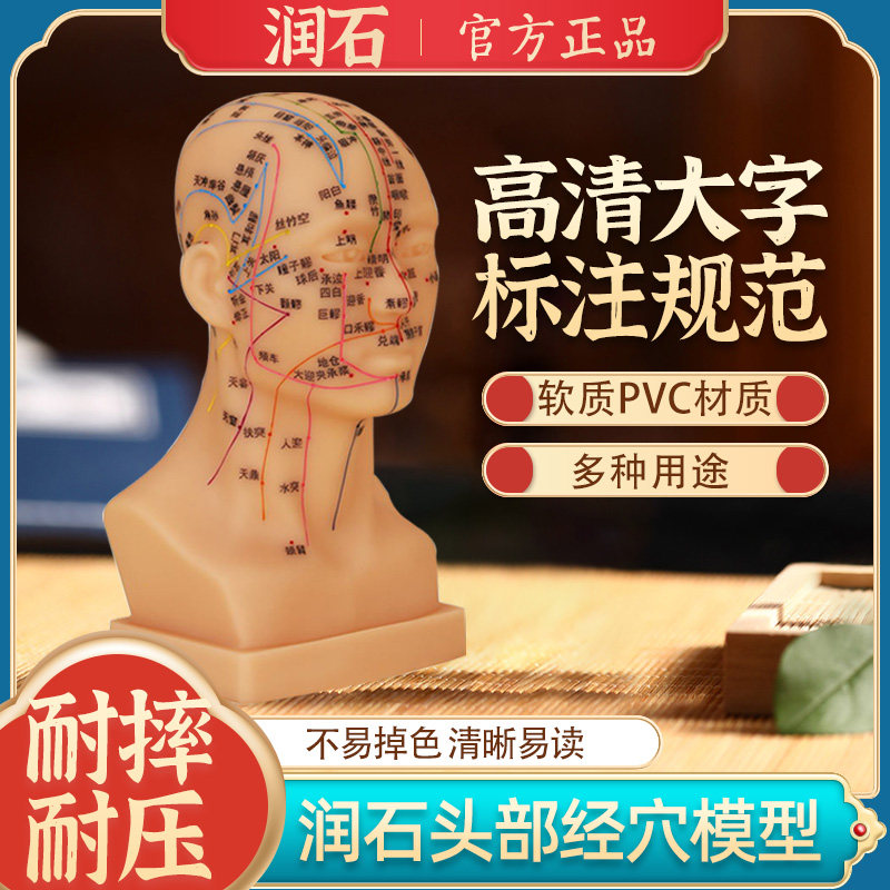 润石头部经络穴位模型中医教学假人体头部模型面部按摩针灸穴位