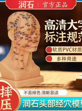 润石头部经络穴位模型中医教学假人体头部模型面部按摩针灸穴位