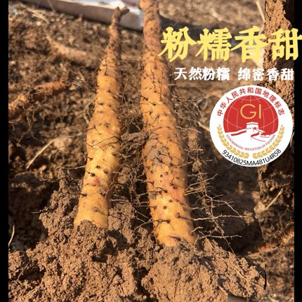 新店开业 正宗温县垆土铁棍山药怀山药农家自种