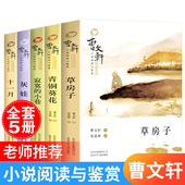 曹文轩小说草房子青铜葵花寂寞 小巷灰娃十一月文学书籍全套5册