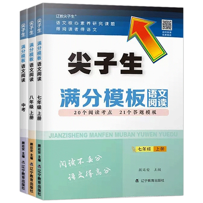 尖子生满分模板初中语文阅读