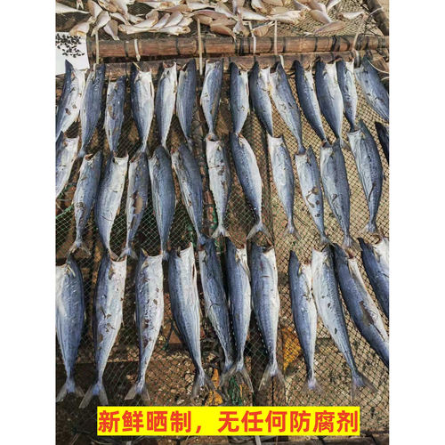 湛江遂溪马鲛鱼条鱼干微咸鱼干