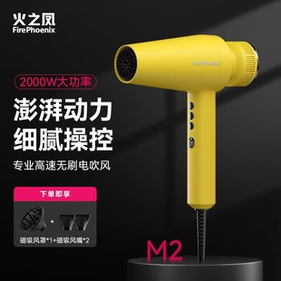 火之凤吹风机6100h发型师专用M1M23大功率负离子造型静音专业正品