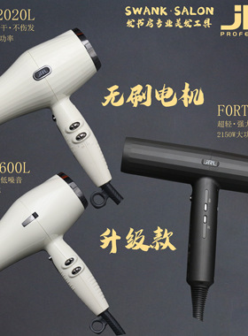 JRL3600L电吹风机家用大功率网红款风筒发廊2020HL冷热不伤发风机