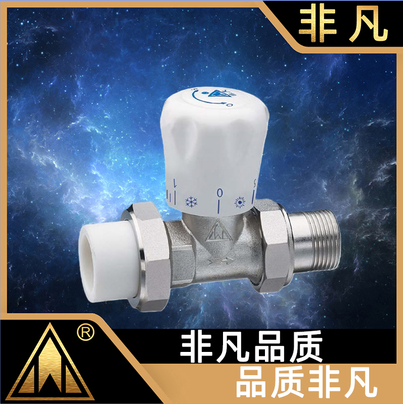 遇见专业阀门,领略非凡品质