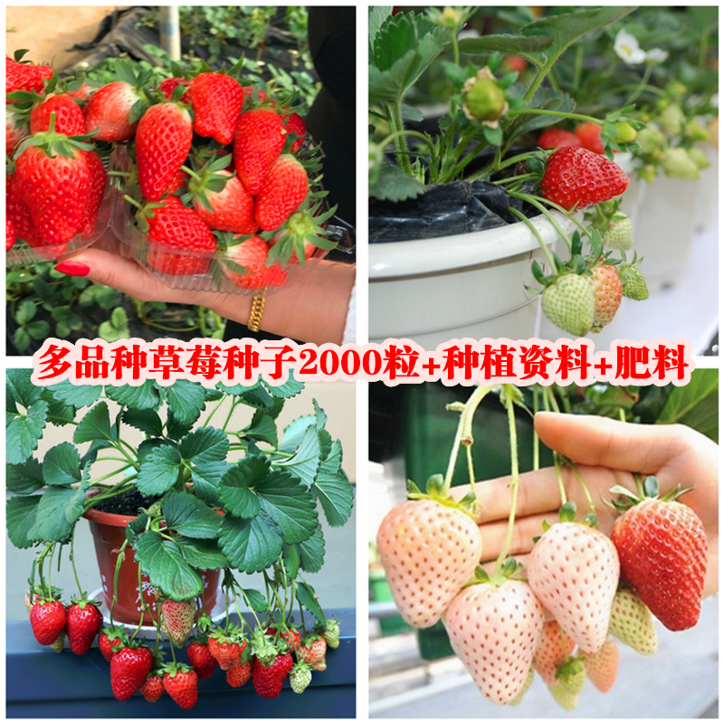 网友分享在meiguo.com的图片