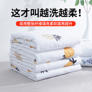 空调被夏凉被双人可水洗棉单人菠萝夏被夏季 被子 儿童薄款