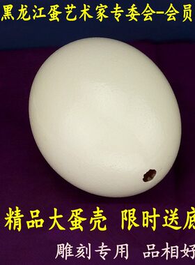 天然大号鸵鸟蛋壳工艺品雕刻DIY原材料驼鸟蛋壳恐龙蛋复活节彩蛋