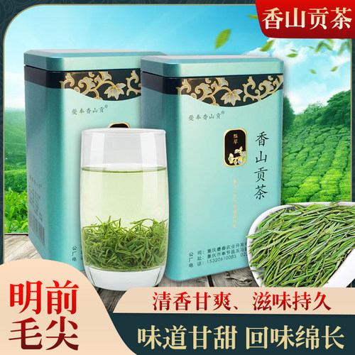 香山贡茶毛尖嫩芽绿茶新茶均匀浓香型耐泡新茶散装春茶送礼