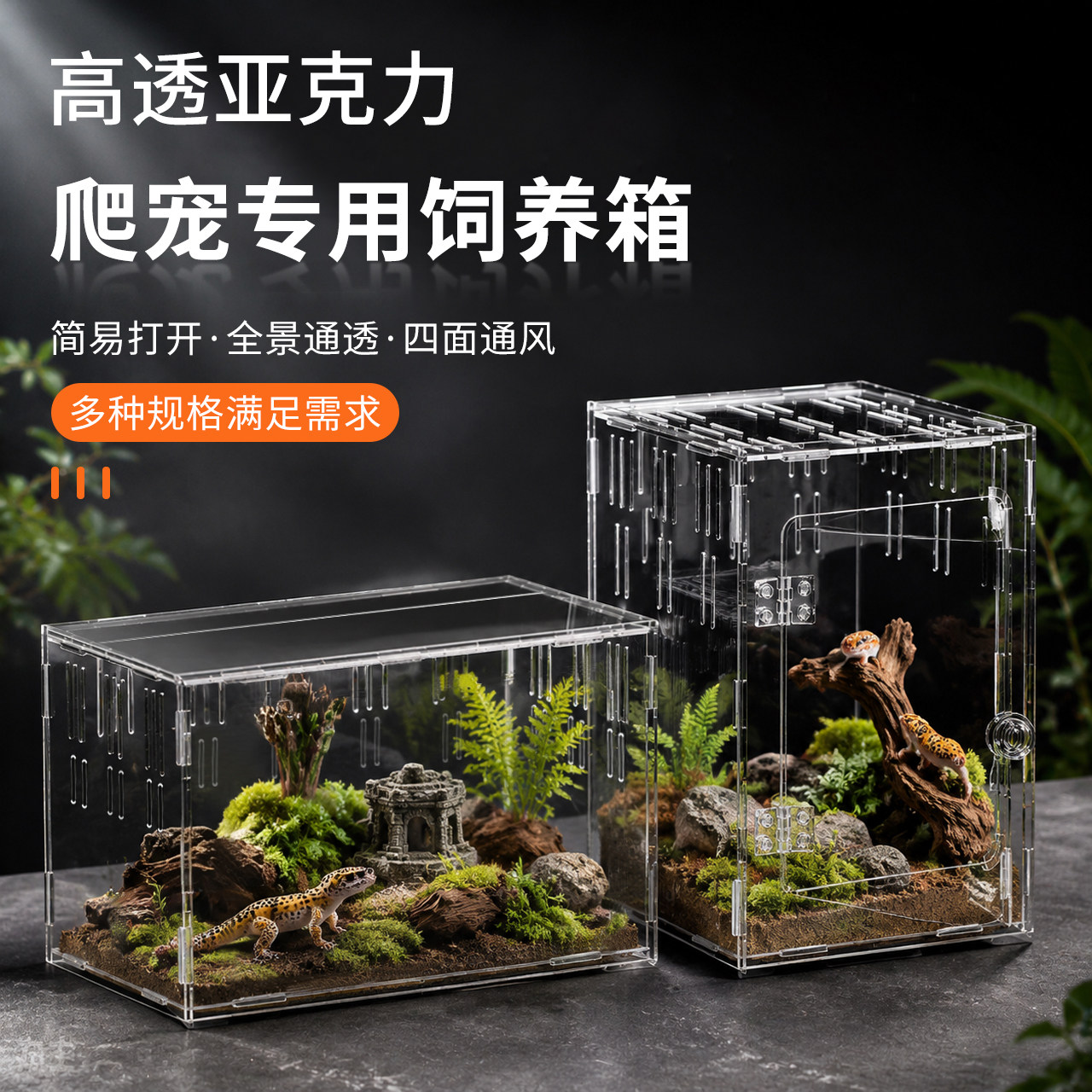 移不动亚克力透明爬宠清晰观赏图片