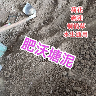 塘泥荷花土睡莲碗莲土铜钱草土水培植物专用土蔬菜花卉果树通用土