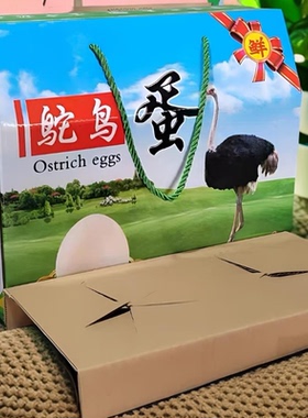10个空盒无肉两枚鸵鸟蛋礼盒包装纸箱手提袋彩印包装绿色高端
