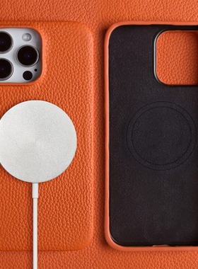 荔枝纹真皮适用苹果16Promax手机壳新款17Pro保护套15轻奢高级感小众奢华14磁吸全包皮质外壳13防摔12牛皮套