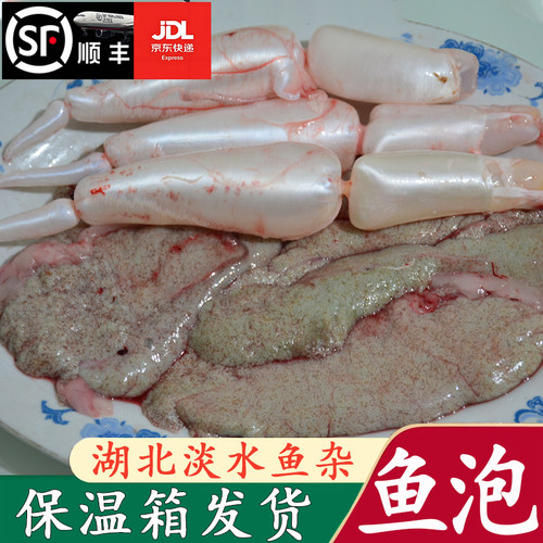 新鲜鱼泡丹江口翘嘴白鱼鲢鱼泡