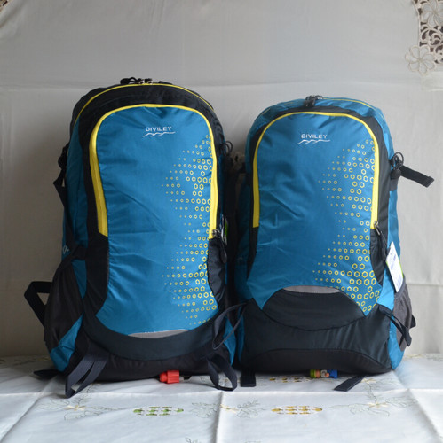 新款正品迪威丽休闲35l40l旅行包