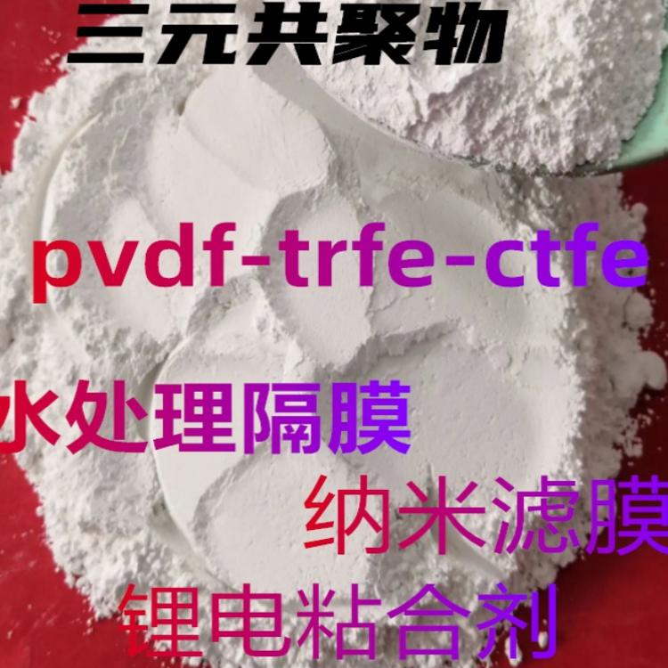 PVDF-TrFE聚合物压电材料PVDF-TrFE压电材料 粉末 科研专用材料