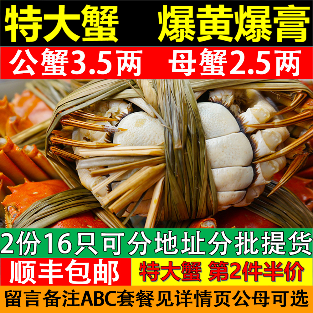 现货优质大闸蟹固城湖顺丰次日达