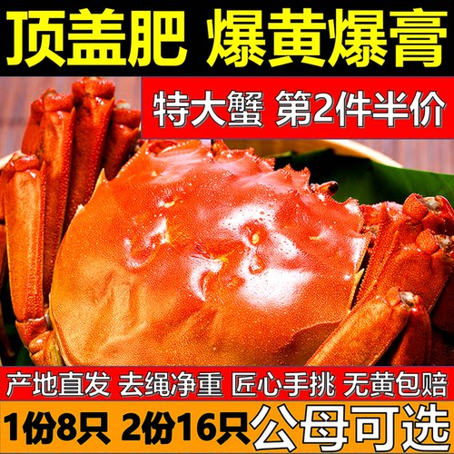 鲜活礼盒装固城湖大闸蟹现货顺丰