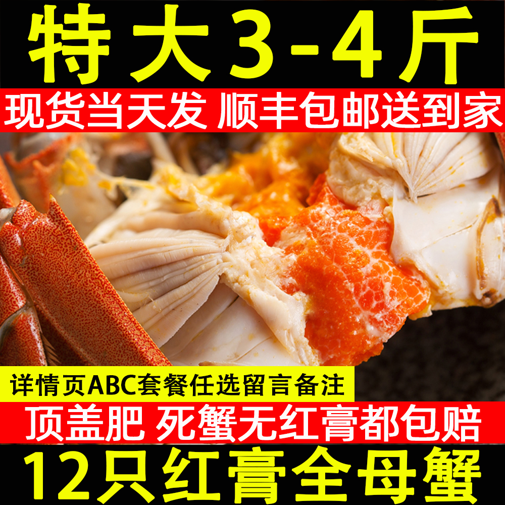 12只固城湖大闸蟹全母蟹3斤公4斤