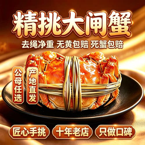 固城湖全母蟹鲜活大闸蟹顺丰包邮