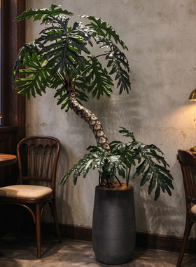 仿真龙鳞春羽老桩龟背竹绿植高级服装店餐厅客厅家居落地摆件