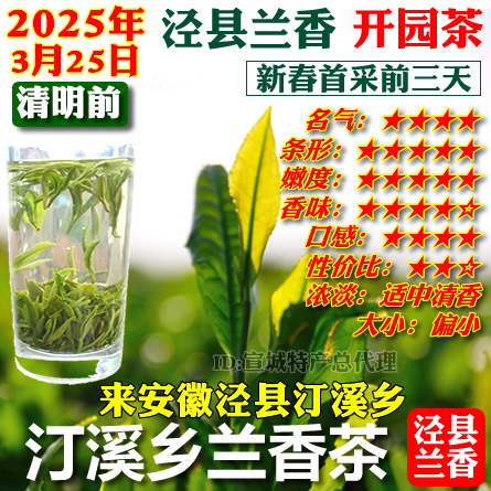 汀溪乡兰香开园茶泾县高山绿茶叶