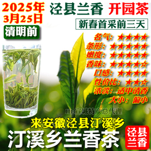 泾县兰香开园茶2025年新茶清明前茶叶宣城汀溪兰香型春茶绿茶包邮