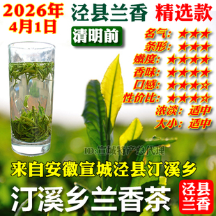 泾县兰香精选款2026年新茶清明前茶叶安徽宣城汀溪兰香型春茶绿茶