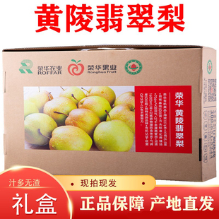 陕西黄陵翡翠梨12头礼盒装新鲜应季水果甜脆酥梨青梨产地直发