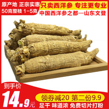 特级山东文登滋补品50克 正宗西洋参段整枝特级花旗参整支正品