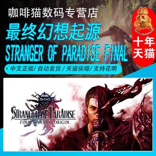 PC正版 steam 中文游戏  最终幻想起源  STRANGER OF PARADISE FINAL FANTASY ORIGIN 奇幻 冒险 格斗游戏